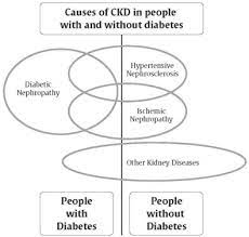 Ndi can also occur as a secondary complication, most commonly from obstructive uropathy or chronic lithium therapy. Chronic Kidney Disease In Diabetes Canadian Journal Of Diabetes