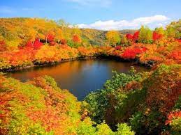 東海から北海道まで 東日本のおすすめ紅葉名所10選 紅葉 景色 美しい風景写真 美しい風景