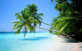 Puerto Rico Beach Wallpaper Hd Hawaii Beaches Beautiful Beach Pictures Beautiful Beaches