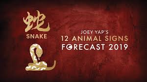 2019 Animal Sign Forecast Snake Joey Yap