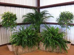 Emerson Nursery Rental Plants Home Facebook