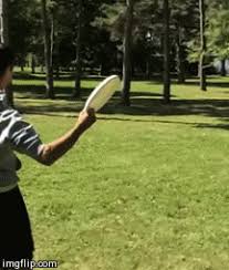 A short, quick movement, especially a brush, sweep, or flip. Every Frisbee Throw How To S Ultimate Frisbee Hq