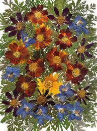 Maybe you would like to learn more about one of these? Dried Flowers 1 Iphone 12 Case For Sale By Dryflowersart