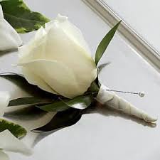We did not find results for: Your Local Florist And Flower Shop Serving Cape Coral Flowers For Every Occasion Flower Arrangements For Special Occasions Flower Shop Near Me