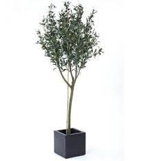 Mar 27, 2021 · faux potted rubber tree from west elm. Handmade Faux Olive Tree Large 5ft To 7ft Artificial Green