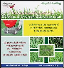 Tall fescue is a very adaptable species and grows well in dry or wet conditions. Molloy College Step 3 Is Bluegrass Fescue Or Ryegrass Best For Long Island Lawns