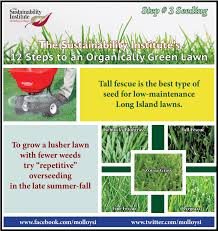 How to make zoysia spread faster. Molloy College Step 3 Is Bluegrass Fescue Or Ryegrass Best For Long Island Lawns