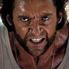 An oblong face is a good match for the wolverine although an oval face. 13 Best Wolverine Beard Styles 2021 Guide