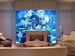 Top 10 Unusual Aquariums Cool Fish Tanks Amazing Aquariums Custom Aquarium