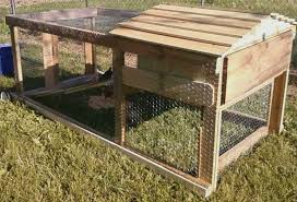 Backyardchickens Forum Pallet Coop Project Suggestions And Opinions Welcome Pallet Coop Chicken Coop Pallets Chickens Backyard