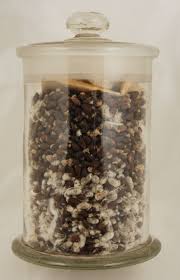 Image result for Gossypium barbadense