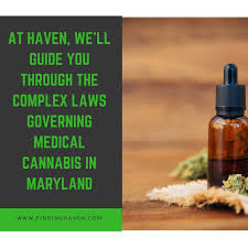 Cannabis cards online, from your home in maryland. Maryland Medical Marijuana Laws Haven Dispensary