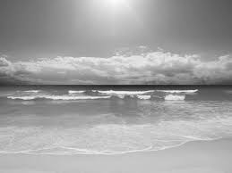 Black And White Beach Wall Mural Black And White Shadow Photos Beach Black And White Wallpapers Black And White Beach Landscape Hd Beach Wallpaper Beach Landscape Blue Beach