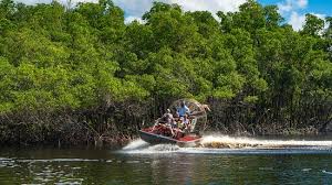 Private everglades national park photo and wildlife safari. Best Mangrove Airboat Ride Review Of Captain Jack S Airboat Tours Everglades City Fl Tripadvisor