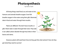 Read and download free pdf of cbse class 7 english reading comprehension worksheet. 7th Grade Reading Comprehension Worksheets