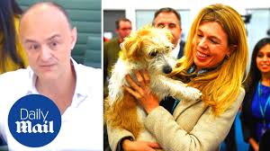 Check out this biography to carrie was born in 1988, to matthew symonds and his wife, josephine mcaffee. Dominic Cummings On Carrie Symonds Boris Johnson S Fiancee Went Crackers Over Story About Dog Youtube
