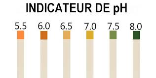 Baisser Le Taux D Acide Urique Naturellement