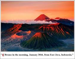 Struktur teks laporan hasil observasi. Penjelasan Materi Caption Bahasa Inggris Lengkap Beserta Contohnya
