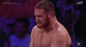 Log in to save gifs you like, get a customized gif feed, or follow interesting gif creators. Wwe 2016 In Gifs And Clips Plus Bonus Photos Of The Year Squaredcircle