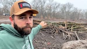 pollarding a willow tree before its too late