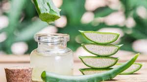 There are many ways to use aloe vera for hair growth while mixing with other ingredients too. How To Use Aloe Vera Gel For Hair Growth Curly Girl Swag