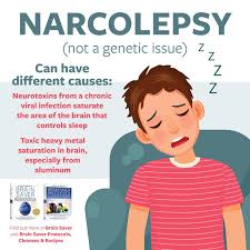 Image result for Narcolepsy