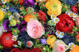 Advan i7d ini sebetulnya memiliki spesifikasi yang sama dengan. Advan Octovhs Profile Pinterest