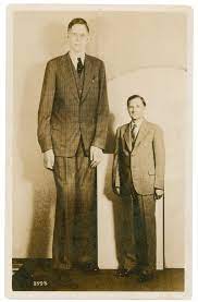 Request] If Robert Wadlow's penis was proportionate to the rest of his  body, based on the average height of a regular person, how big would his  penis probably be? : r/theydidthemath