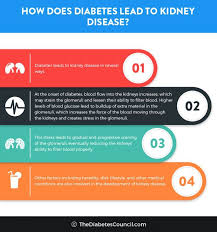 Renal diseases that are unrelated to diabetes (7,8)(figure 1). Diabetes And Renal Failure Everything You Need To Know Renal Failure Renal Diabetes