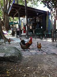 It is, hands down, the best place for breakfast in the keys (get there around 10 mins prior to opening if you want to get seated without waiting). Pin Von Chicken Coops Auf Destination Key West Reiseziele Wohnideen Reisen