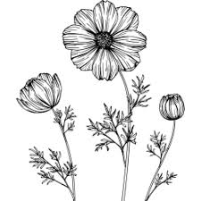 Tattoo motive gibt es nach jedem geschmack. Vorlagen Fur Tattoos Mit Blumen Z B Lilie Oder Orchidee