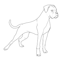Kostenlose Malvorlage Hunde Deutscher Boxer Zum Ausmalen