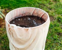 Compost tea for garden