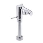 Kohler flushometer