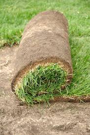 The next update will be made on july 16. 53 Best Front Lawn Landscaping Ideas Front Lawn Landscaping Front Lawn Sod Grass