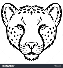First the torso, then the legs, and finally the head with. Simple Cheetah Head Drawing Page 1 Line 17qq Com