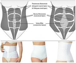 Postpartum Belly Wraps Will They Help Your Recovery Fit Bottomed Girls Post Partum Belly Wrap Postpartum Belly Postpartum
