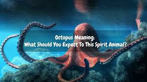 Octopus Meaning What Should You Expect To This Spirit Animal Dejadream Octopus Meaning Spirit Animal Meant To Be