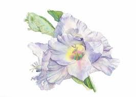 Pin Auf My Paintings