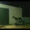 Kwentong aswang aswang stories compilation. Https Encrypted Tbn0 Gstatic Com Images Q Tbn And9gcqamn9tvk22qnjtox Du 59e Ztmbmjnbl5vnnemsdhklp9jlcg Usqp Cau