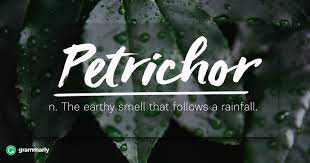 8 Words For Nature Lovers One Word Caption Nature Lover Quotes Nature Words