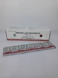 Amoxicillin 500mg Tab Isi 100 Box Resep Dokter Resep Dokter