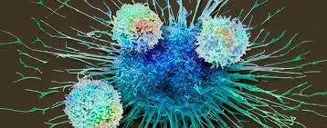 D) verwendet man insulin bei krebs oder bei blutzucker (сахар крови)? Immuntherapie Bei Krebs Focus Arztsuche