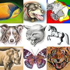 All the technical tools you need, with a drawing comfort you'll love. How To Draw Animals