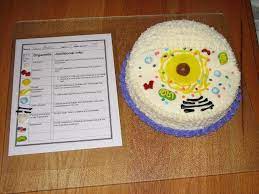 Why do you need to make animal cells in school? Animal Cell Cake For Science Project This Is A Cake Made For A Science Project It Shows The Anatomy Of An Animal Animal Cell Project Animal Cell Cells Project