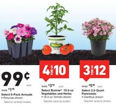 We did not find results for: Lowes Memorial Day Sale 25 Pavers 99 Plants Southern Savers