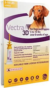 How to make flea treatment for puppies? Best 8 Safe Flea Treatments For Young Puppies Blog That Dog