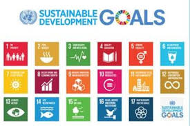 Dianggap sebagai salah satu mata pelajaran yang. Pemerintah Adopsi 169 Indikator Sdgs Ke Rpjmn 2020 2024 Ekonomi Bisnis Com