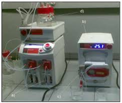 Detector de metais pode ser obtida ao cumprir os seguintes requisitos:coletar insígnias de exploração: Symmetry Free Full Text Enzymatic Degradation Of 2 4 6 Trichlorophenol In A Microreactor Using Soybean Peroxidase Html