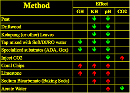 Water Paramters Like Ph Gh Kh Understanding Their